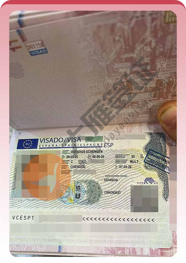 西班牙旅游签证双人再出签案例图02
