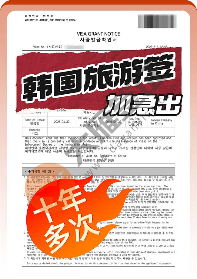 又十年！韩国旅游签证(C-3-91)出签案例图