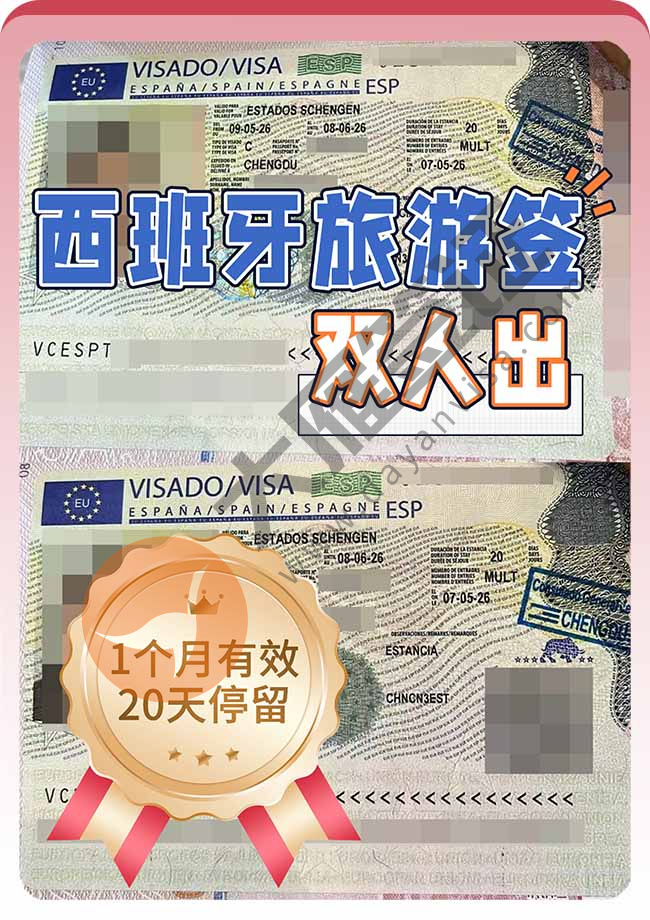 西班牙旅游签证双人再出签案例图01
