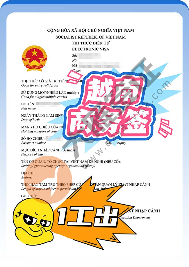 捷报：越南商务签证双人再出案例图01