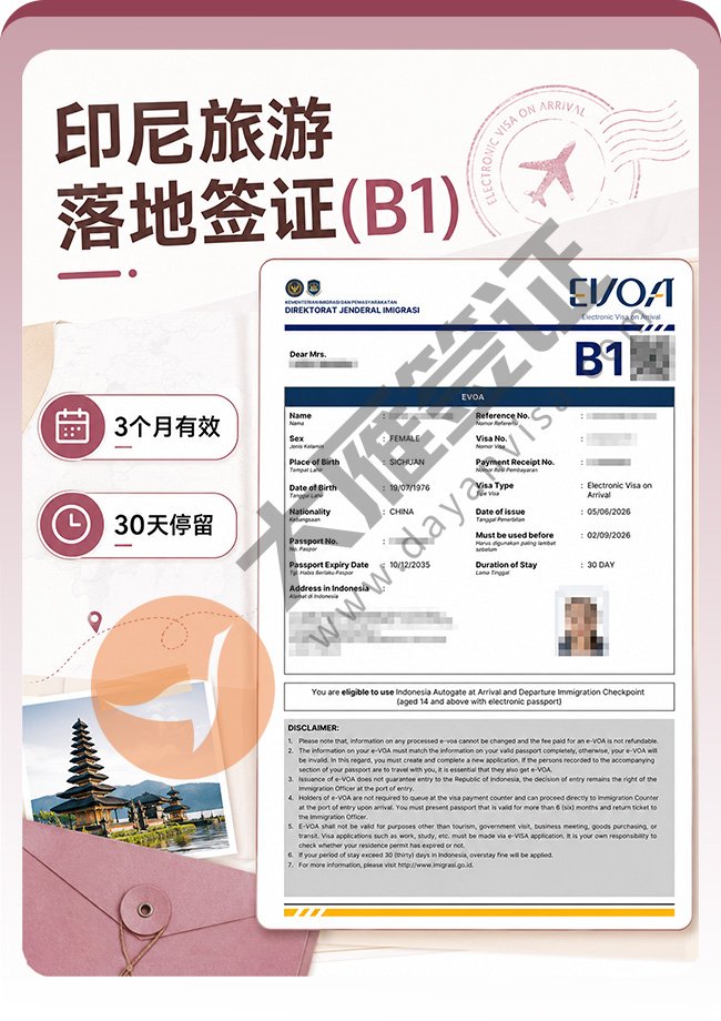 印尼电子旅游落地签(B1)顺利出签案例图