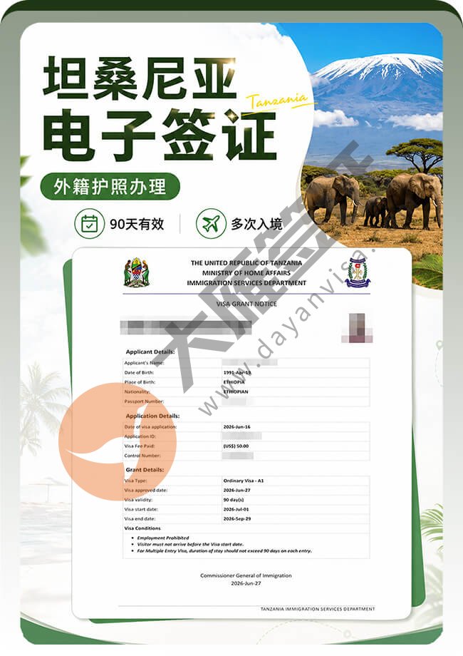 坦桑尼亚电子签证顺利出签案例图