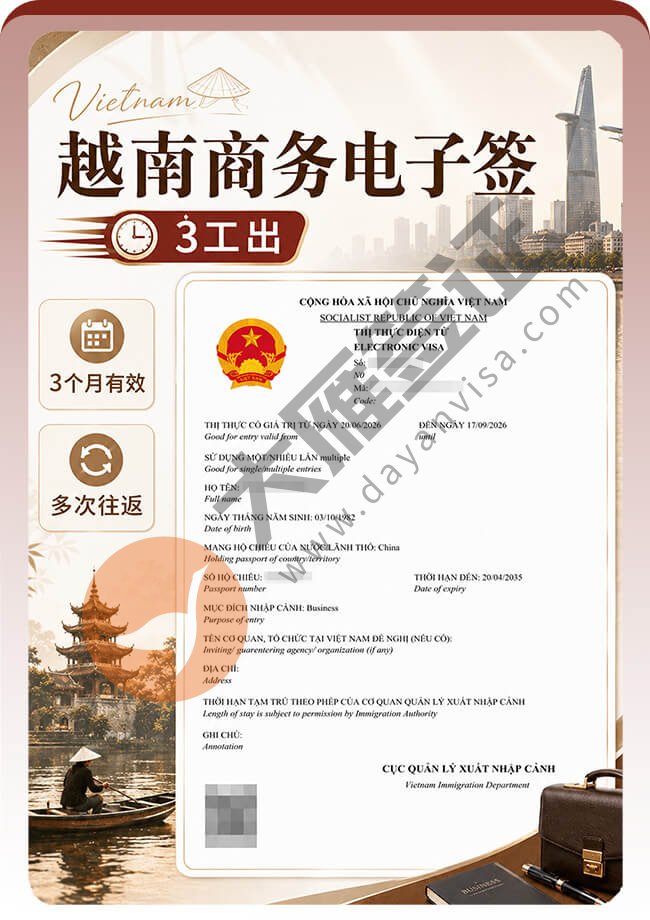 nice~越南商务电子签稳稳再出签案例图