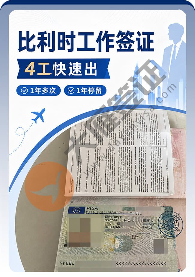 比利时工作签证(D类)顺利到手喽案例图