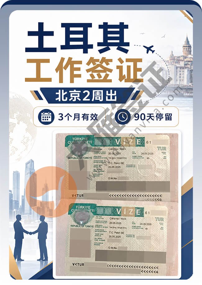 2个人的土耳其工作签证顺利都到手案例图