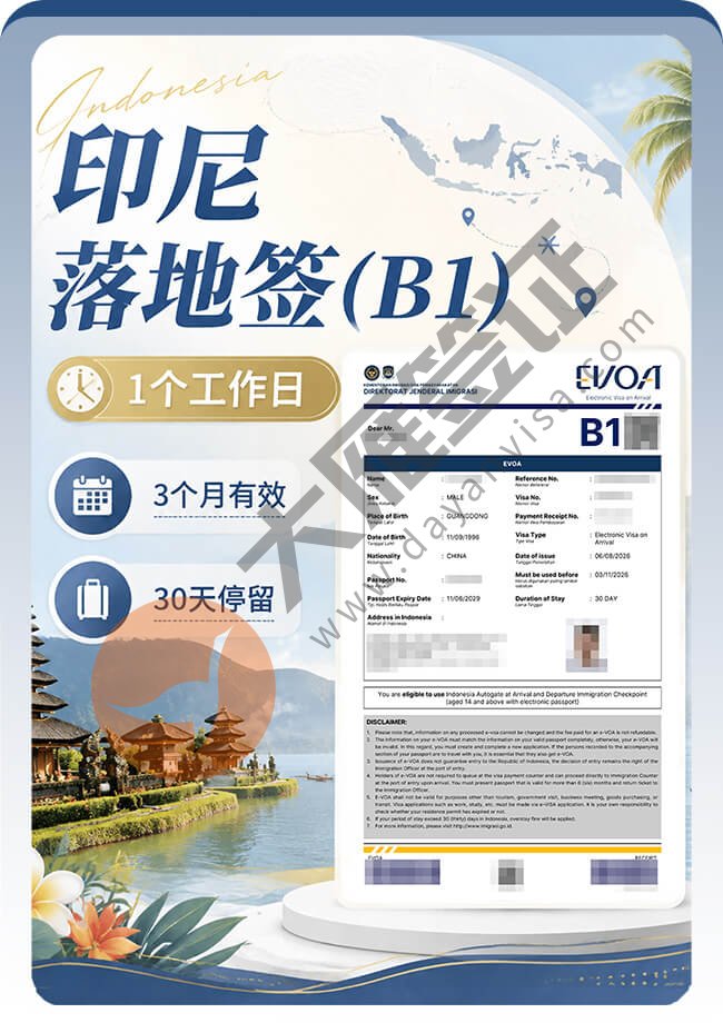 印尼落地签出签案例分享图