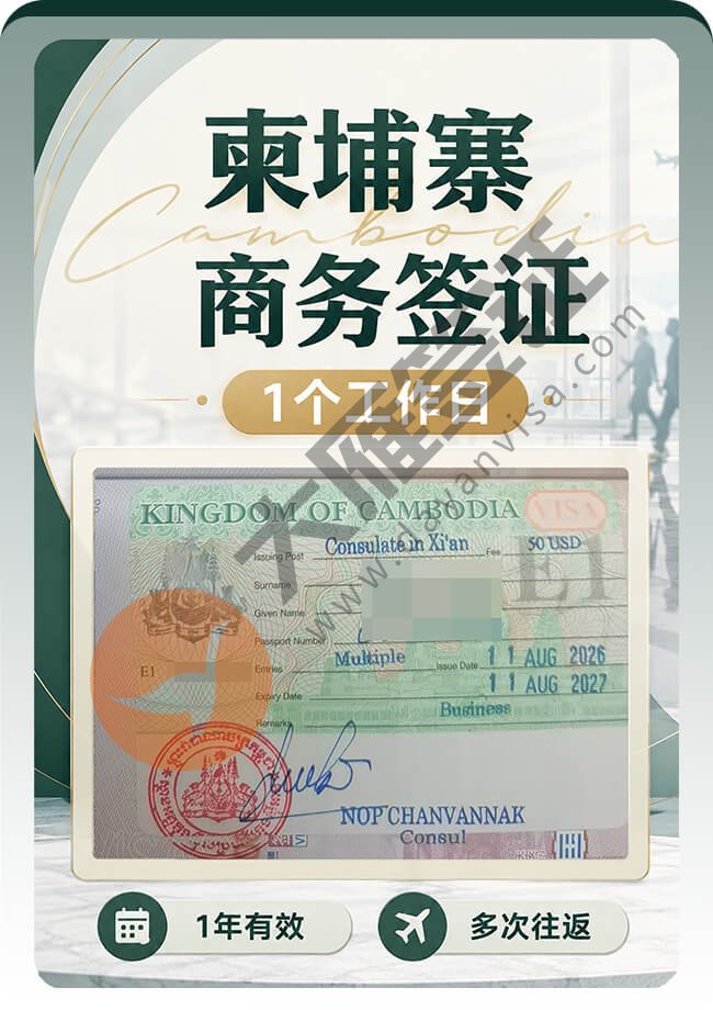 柬埔寨商务签证1工出签案例图