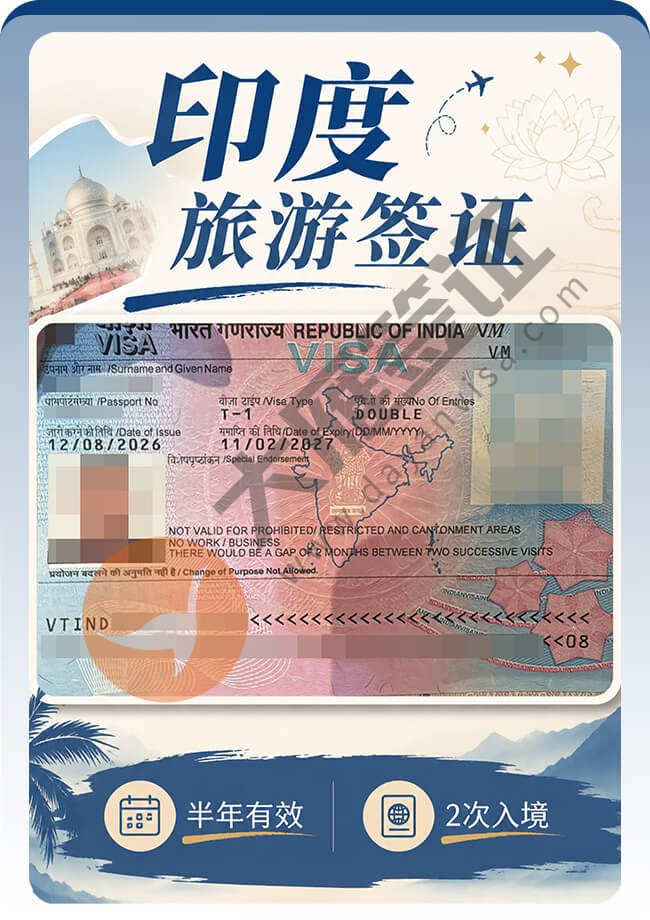 印度旅游签证半年2次出签案例图