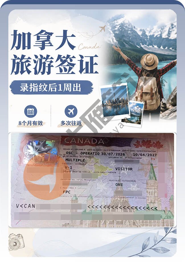 加拿大旅游签证案例图