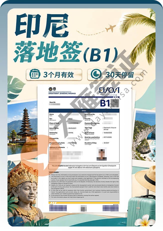 印尼B1落地签案例图