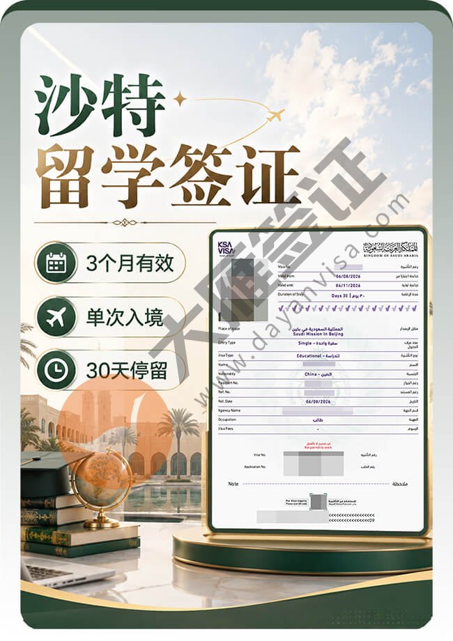 沙特留学签证案例图