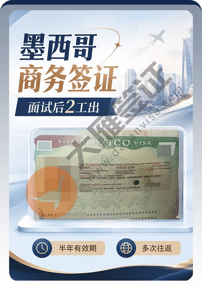墨西哥商务签证出签案例图