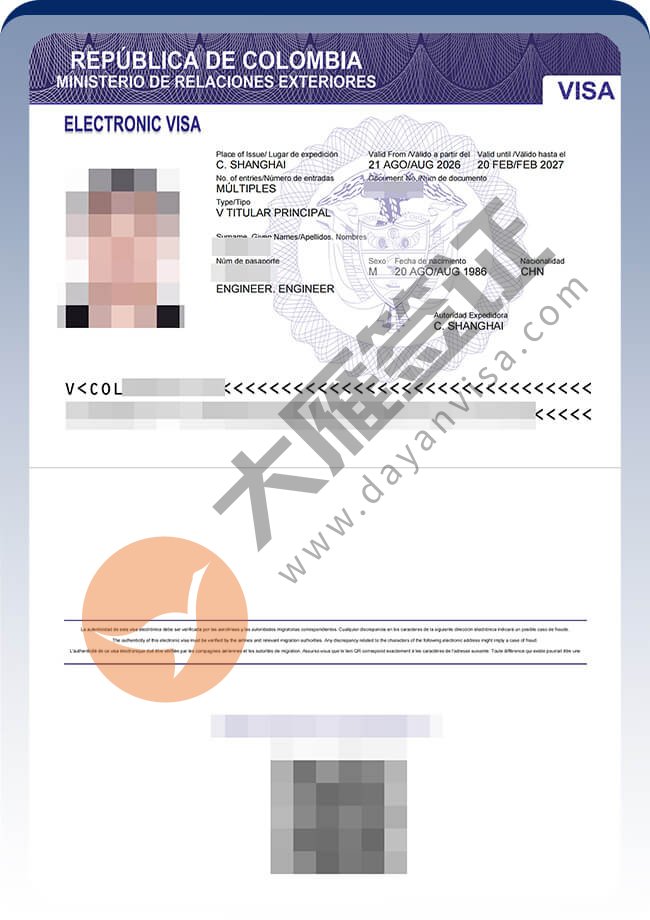3人哥伦比亚技术工作签案例图03