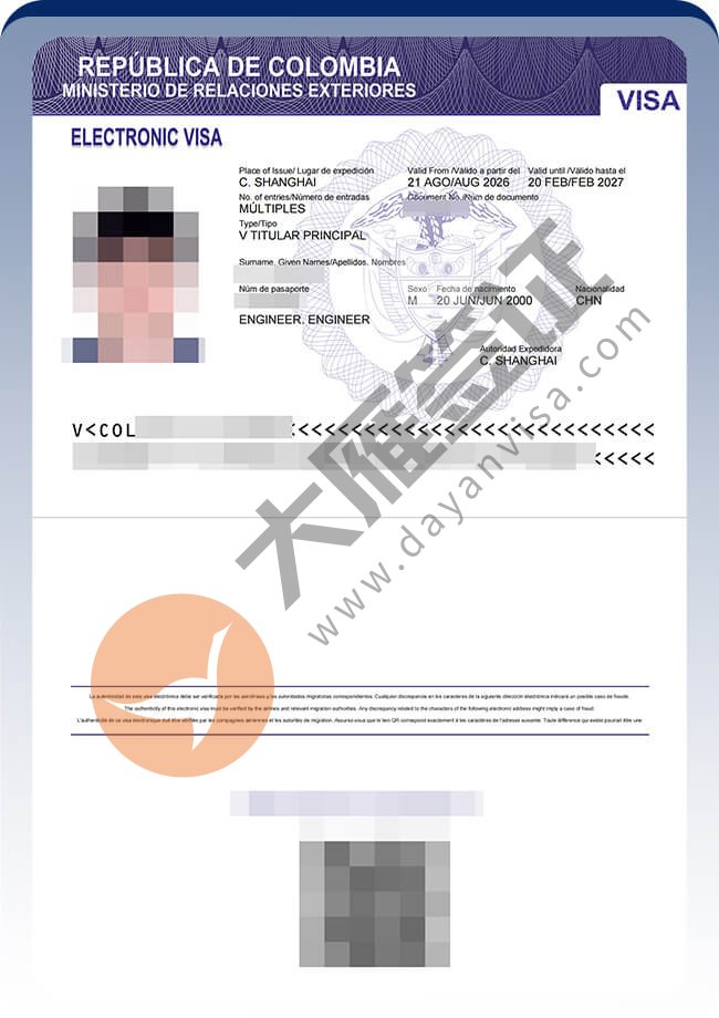 3人哥伦比亚技术工作签案例图02