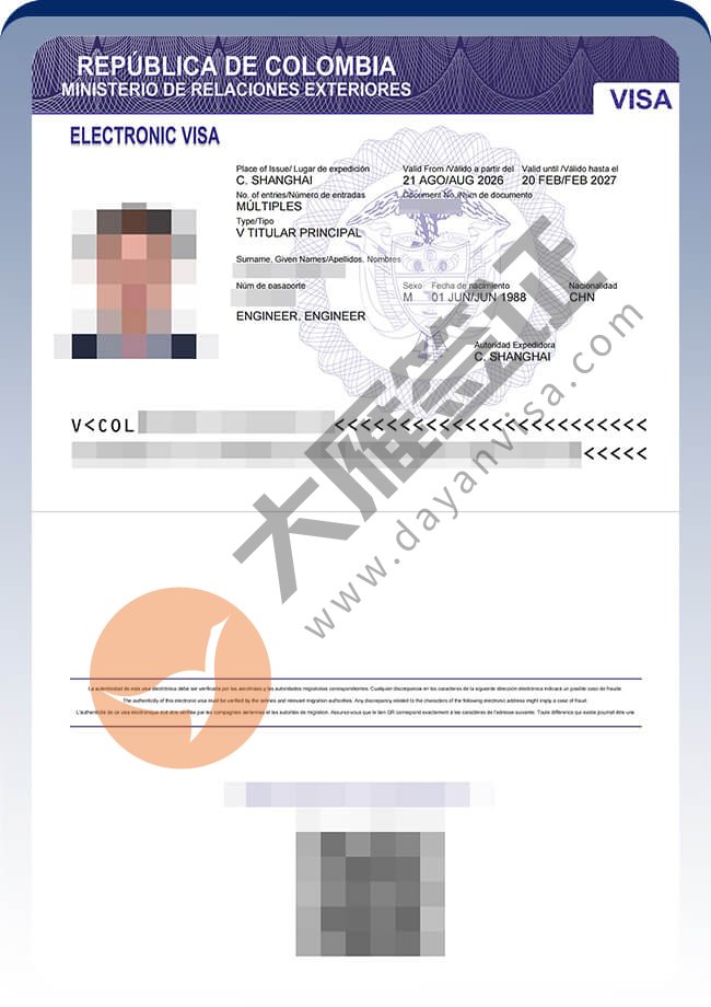 3人哥伦比亚技术工作签案例图04