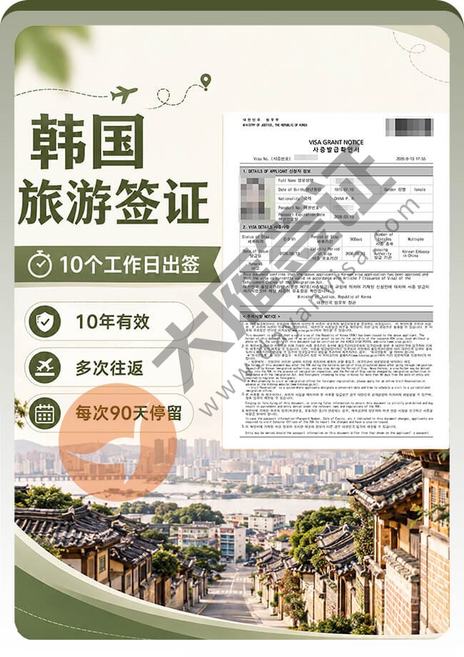 韩国旅游签10年多次案例图
