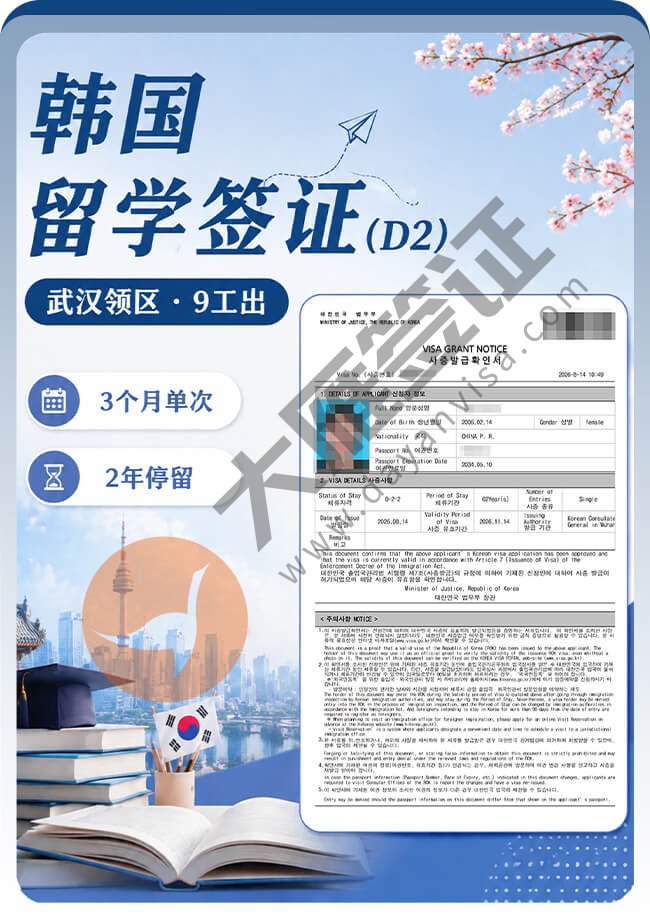 韩国D2留学签证顺利出签案例图