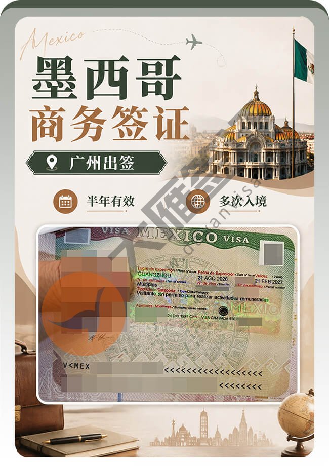 墨西哥商务签案例图