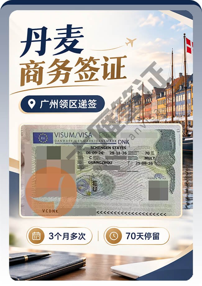 丹麦商务签证拿下案例图
