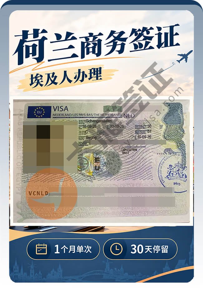 埃及人办荷兰商务签稳稳拿到案例图