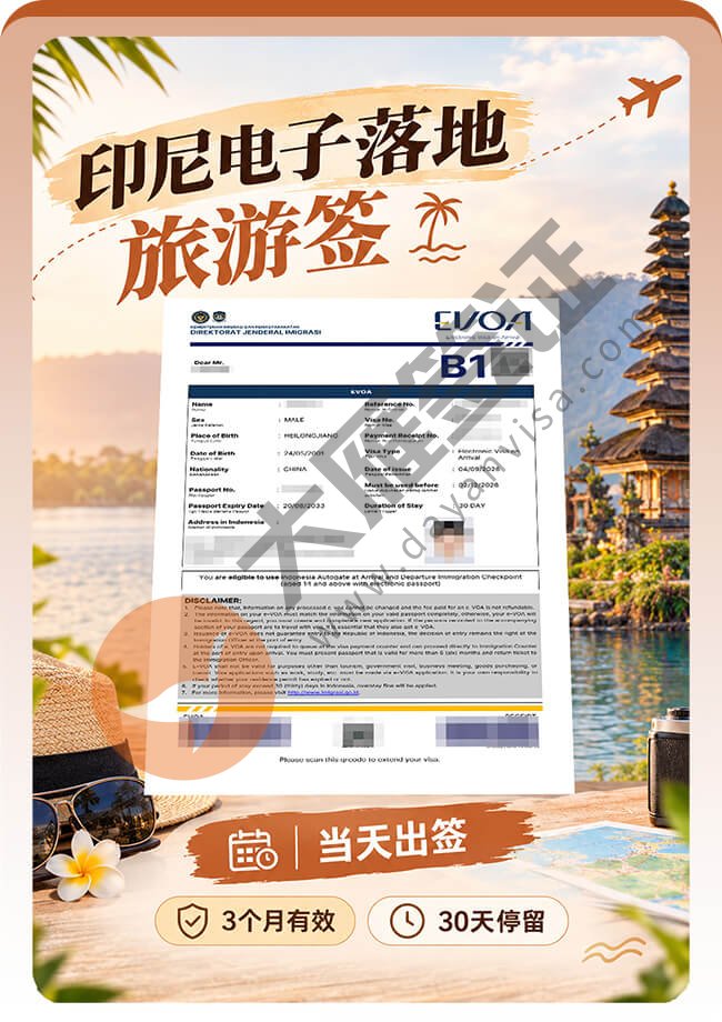 印尼B1电子旅游落地签案例图