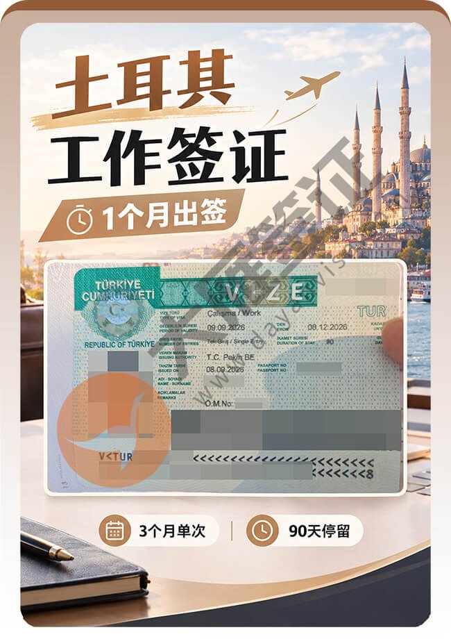 土耳其工作签证约1个月出签案例图