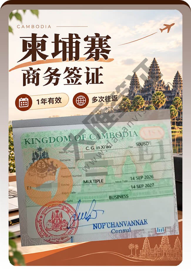 柬埔寨商务签证拿到1年多次案例图