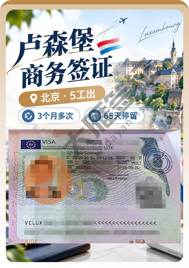 卢森堡商务签证稳稳再出一个案例图